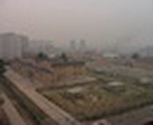 Агаарын бохирдол усыг хамгийн их хордуулдаг