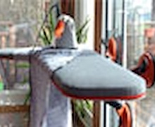 Хувцсаа цонхон дээрээ индүүднэ гэнэ үү?