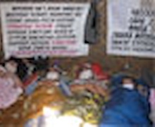 Мод ашиглаж барилга барихын эсрэг өлсгөлөн зарлажээ