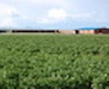 Газрын албаныхан нээлттэй ажиллана