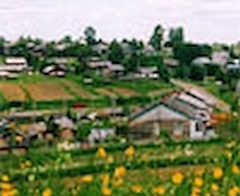 Энэ сарын 20-ноос зуслангийн газар хувьчилж эхэлнэ