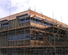 Барилгын тулгуурт зулзган мод ашиглахыг хориглов