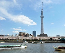 Токиод телевизийн хамгийн өндөр цамхаг нээгдлээ