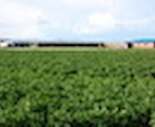 Үндэсний газрын мэдээллийн систем'-ийг байгуулна