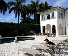 Дэлхийн хамгийн баян нохойн Майами дахь эдлэн газрыг 32 сая доллар-аар зарахаар болжээ