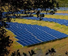 Нарны эрчим хүчний зардлыг жилд 25 хувиар бууруулах боломжтой