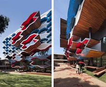 Байгаль дээрх бие организмууд яагаад полимер нэгдлүүдийг үйлдвэрлэдэг вэ?