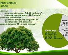 Мод модон материалын импортын зах зээлийн судалгаа 