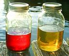 Нүүрснээс түлш гаргах төслийг ерөнхий сайдад танилцууллаа