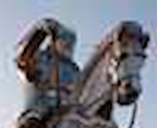 Америкийн монголчууд Вашингтонд Чингисийн хөшөөг босгохоор хөөцөлдөж байна