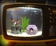 Хуучин телевизээр аквариум хийгээрэй