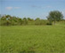 Газрын харилцаа цахим хэлбэрт шилжинэ