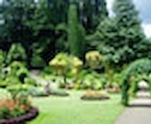 Нийслэлийн есөн дүүрэгт бичил цэцэрлэг барина