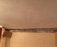 Буух эзэн, буцах хаяггүй барилга