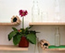 Зай нь багадаад байвал тавиураа хуйлчих!