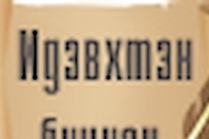 Идэвхтэн бичигчдыг урьж байна