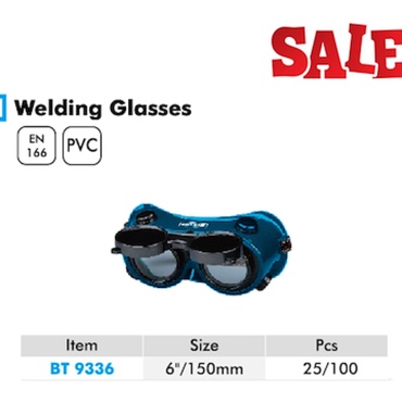 Гагнуурын шил