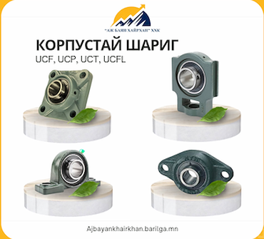 Корпустай шариг