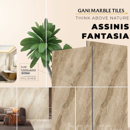 GANI - ASSINIS FANTASIA