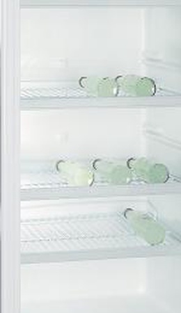 Шилэн хаалгатай хөргөгч Бирюса 310Е