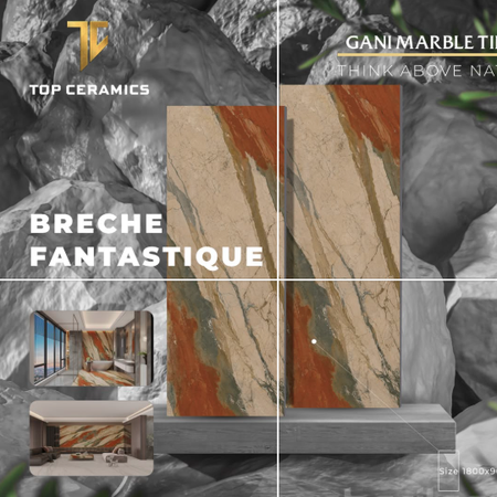GANI - BRECHE FANTASTIQUE