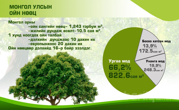 Мод модон материалын импортын зах зээлийн судалгаа 