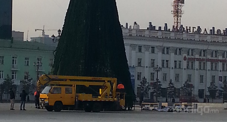 Төв талбай сүлд модоо засаж байна