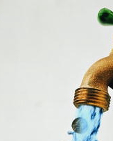 МОНГОЛ УСГҮЙ Ч УС НЬ ҮНЭГҮЙ