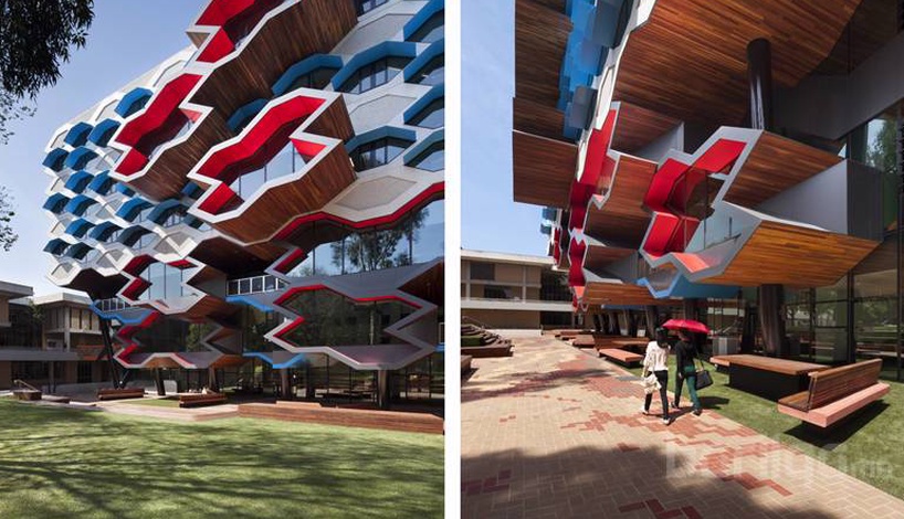 Байгаль дээрх бие организмууд яагаад полимер нэгдлүүдийг үйлдвэрлэдэг вэ?