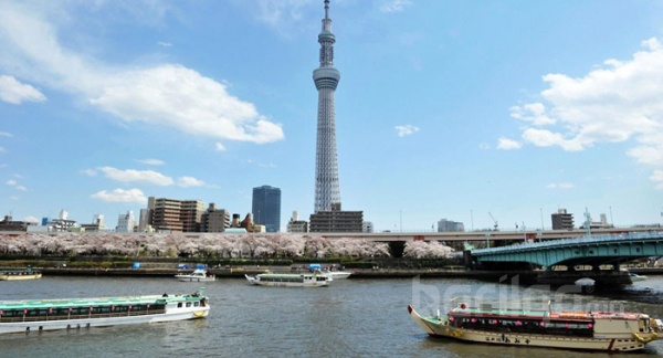 Токиод телевизийн хамгийн өндөр цамхаг нээгдлээ