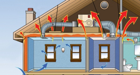Оюутнууд хар салхины хүчийг тэсвэрлэх байшингаараа шагнал хүртлээ