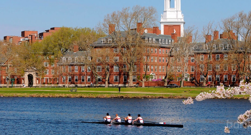 Харвардын их сургуульд гадаадын оюутнуудыг элсүүлэн суралцуулахыг хориглолоо