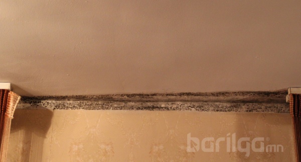 Буух эзэн, буцах хаяггүй барилга