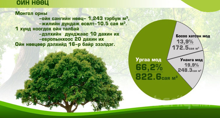 Мод модон материалын импортын зах зээлийн судалгаа 