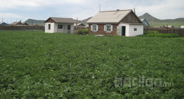 “Өмчилсөн газрын үр шим” уралдаан зохион байгуулах удирдамж